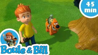 🌳 Boule et Bill profitent de la nature au parc 🏞- Nouvelle compilation Boule et Bill FR