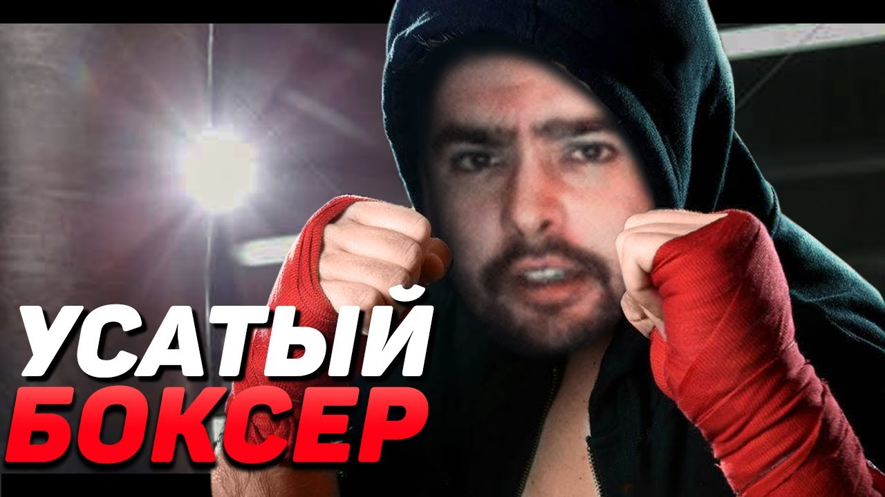 Богдан гревцов бокс