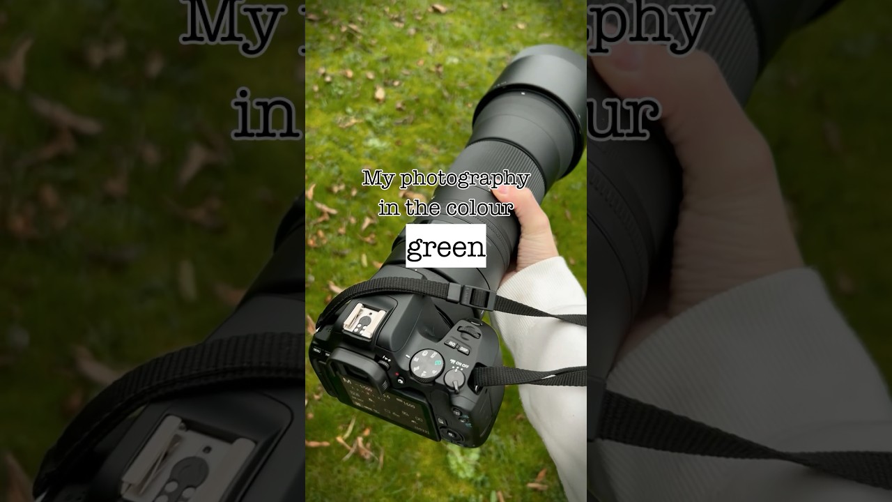 My photography in the colour green 