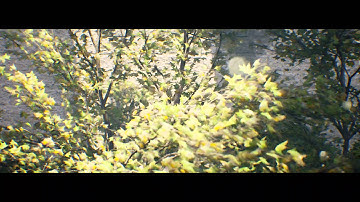 Unreal Engine 4 Sunny Summer Real Time in Geforce GTX 690