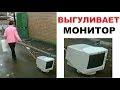 Лютые приколы. Бабка выгуливает МОНИТОР !!!!