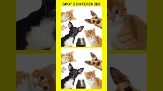 🐾 Only 1% Can Find 3 Differences in This Pet Photo! | Spot the Difference Challenge