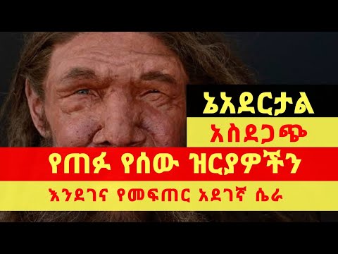 ቪዲዮ: ፍቅር በሳይንሳዊ መንገድ