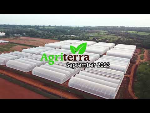 Greenhouses in Nueva Italia, Paraguay - Agri Terra September 2023 - video from The Agri Terra Group
