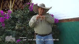 Cerdo casco de mula Agrosavia La Libertad