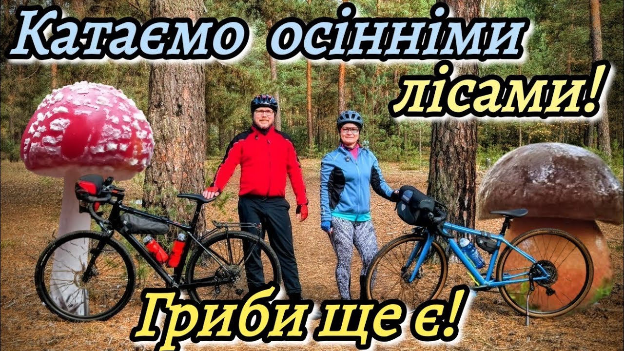 Катаємо осінніми лісами! Гриби ще є!