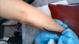 Quill Tattoo