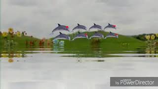 Utf1997 Magical Event S8 The Magic Dolphins