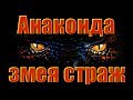 Анаконда. Змея страж