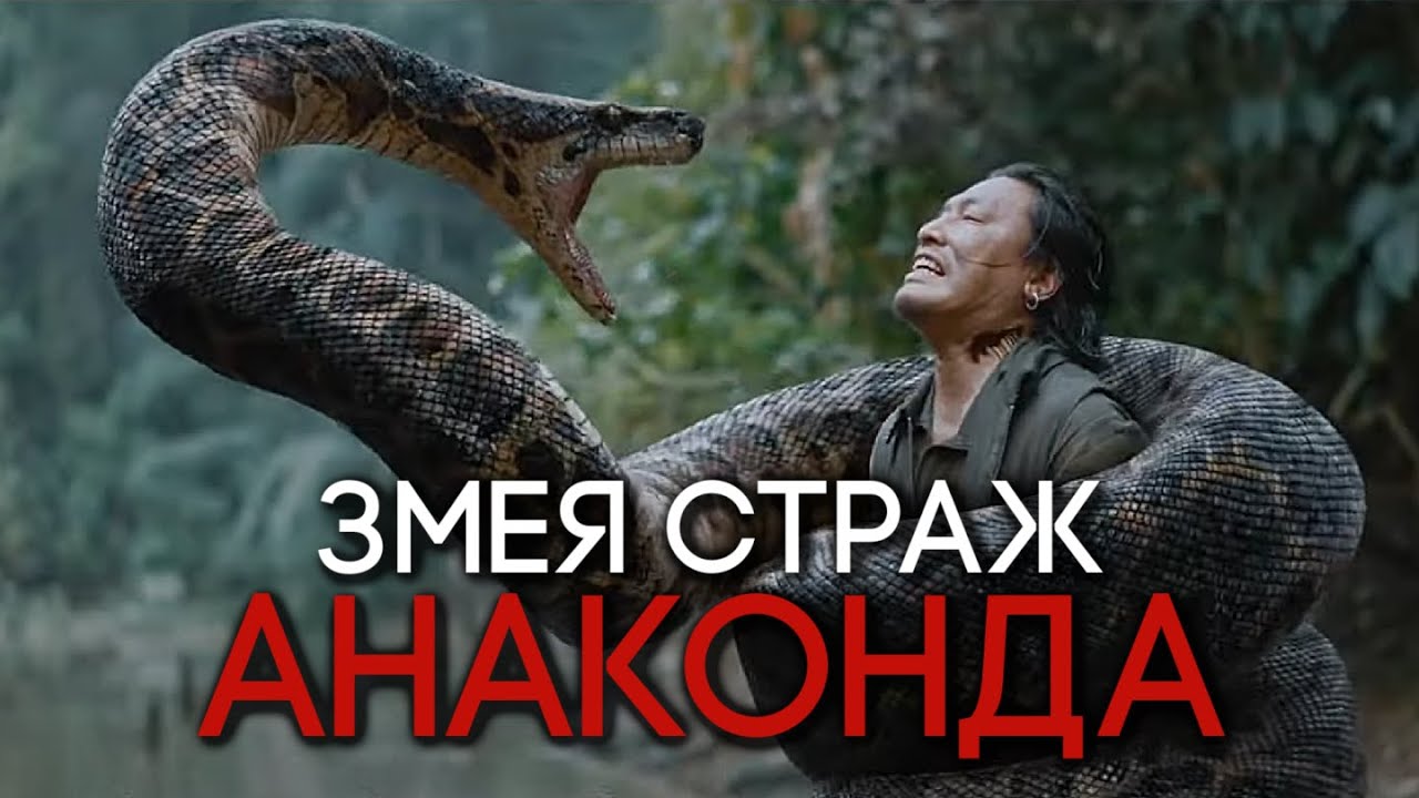 Анакондаз генератор жизни