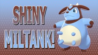 Shiny Miltank caught! Pokemon GO Battle Day: Miltank! 2022.11.06