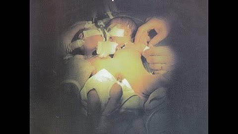 Dahmer - Split 7" EP w/ Apt 213 [1998]