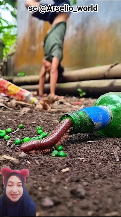 perangkap kacang polong #shorts #funny #dubbing #videolucu