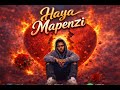 Madikesi Haya Mapenzi Official Audio