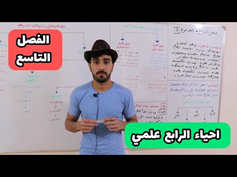 احياء الرابع علمي | الفصل التاسع | المحاضرة 3 | 2023