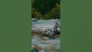 سورة القصص#اكسبلور #لايك #قصص