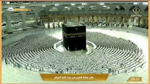 الشيخ د.ياسر الدوسري صلاة الفجر  ٢ ذو القعدة ١٤٤٣ ما تيسر من سورة الممتحنة كاملة