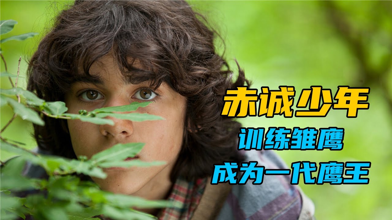 赤诚少年训练雏鹰成为一代鹰王