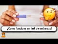 20 Preguntas Curiosas que No Sabías en 10 Minutos #22