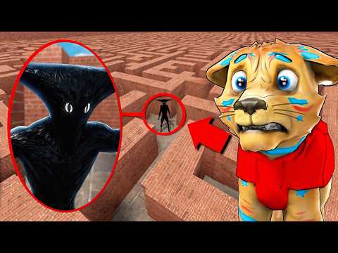 ROBLOX MONOCHROME MONSTER IN A MAZE...