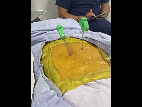 Dr. Ortega Perez1