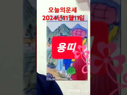 용띠 오늘의운세 2024년11월11일 월요일 띠별운세 #운세 #오늘의운세 #띠별운세