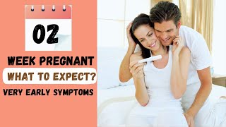 2nd week pregnancy sign and symptoms: What to expect #earlypregnancysymptom #pregnancysigns