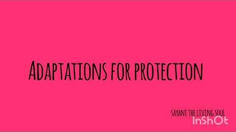 Adaptation for protection