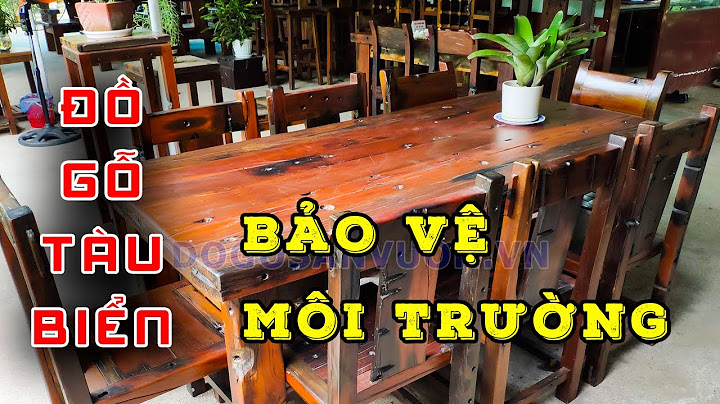 Gỗ đóng tàu biển là gỗ gì