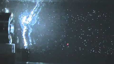 Transient Eckart acoustic-streaming flow