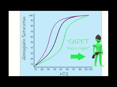 Oxygen-Hemoglobin Dissociation Curve