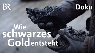 Der PfefferHof im Bayerischen Wald: Wie Terra Preta entsteht | Spessart und Karwendel | Doku | BR