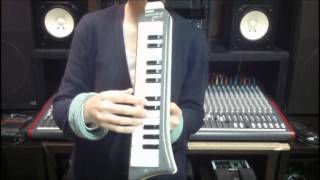 Inner Circle - We 'a' Rockers (Reggae Melodica Lessons) - YouTube