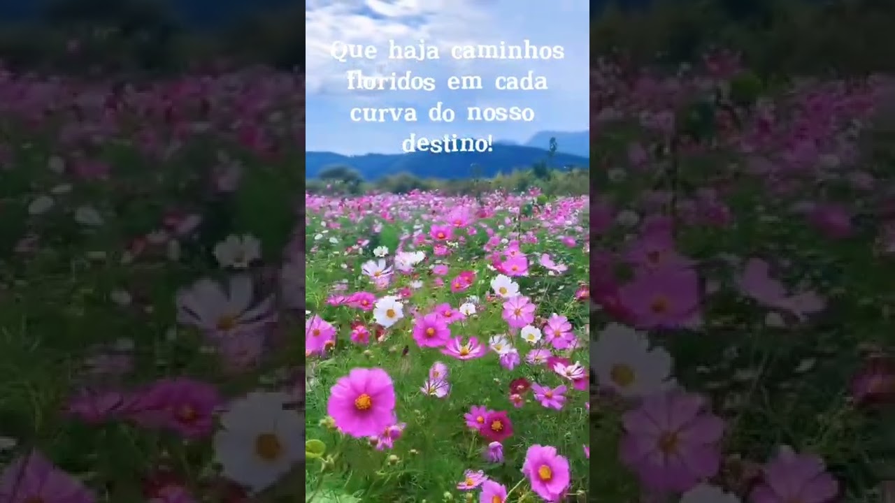 Lindo Campo Florido 🌸✨