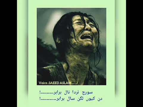 Neela Peela Laaal Brabar By Saeed Aslam |Punjabi Poetry For Whatsapp Status 2019