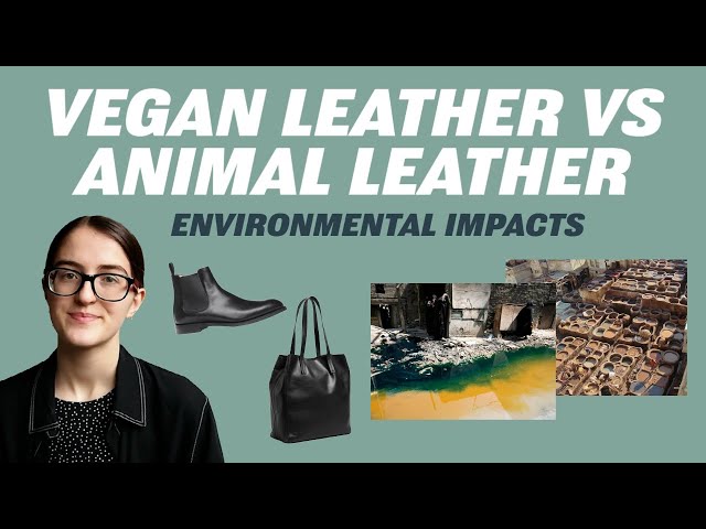 Analysing the Pros and Cons of Vegan Leather