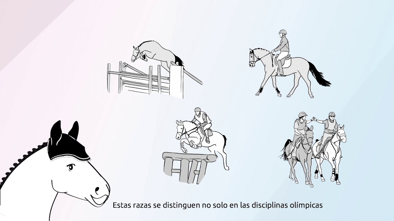 El caballo en Francia - UNIC (ST ESP)