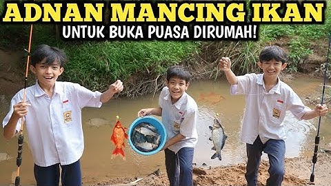 ADNAN MANCING IKAN UNTUK BUKA PUASA BARENG DIRUMAH