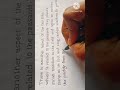 Perfect Handwriting Style ✍️ Must Watch!#handwritting