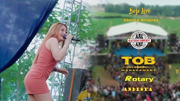 BOJO LORO ~ SHINTA ARSINTA ~ COVER TOB LIVE ARC