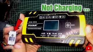 FOXSUR 12V to 24V Battery Charger \\