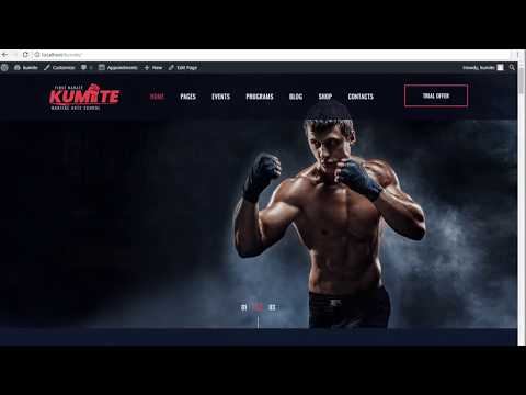 How to install Youko WordPress theme with demo content