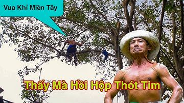 Vua Khỉ Cưa Nhánh Cây Lâm Vồ Có Rất Nhiều Dây Điện Quá Huy Hiểm Cực Khổ ( phần 3 )