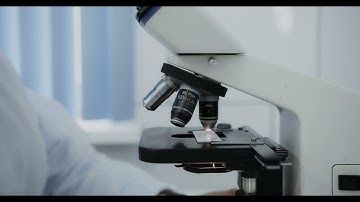 Scientist Working on microscopy  - Stock Footage for Free  -  Doctor  -  HD Videos -  No Copyright
