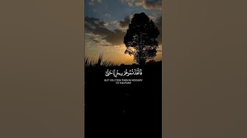 فاتخذتموهم سخريا حتى أنسوكم ذكري وكنتم منهم تضحكون | #قرآن_كريم #راحة_نفسية #quran #تلاوة_خاشعة