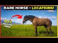 Get Extremely Rare Mustang with Locations - RDR2