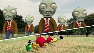 Angry Birds vs Zombies in Real Life