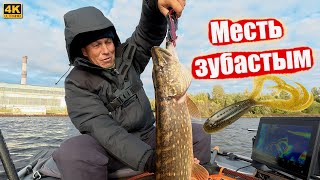 картинка: Щуке сегодня не жить - Месть зубастым тварям