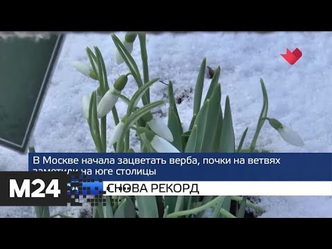"Москва и мир": снова рекорд и круиз окончен - Москва 24