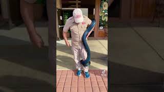 Celebrity OMG 😱 beautiful Rainbow snake reticulated python #reptiles #python Wealth